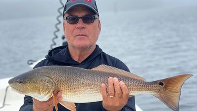 Inshore Fishing in St. Petersburg, FL