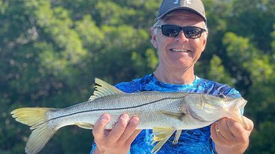 Short Fishing Trip in St. Petersburg, FL