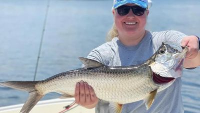 Tarpon Fishing in St. Petersburg, FL 